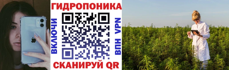 купить наркотик  Городовиковск  Бошки марихуана Bruce Banner 